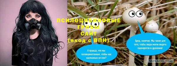 молекула духа Лагань